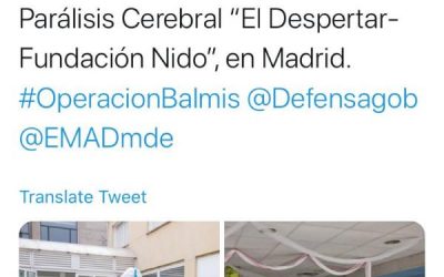 La Guardia Real realiza tareas de desinfección en la Fundación NIDO