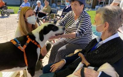 Una visita canina en la residencia Nuestra Casa de Collado Villalba