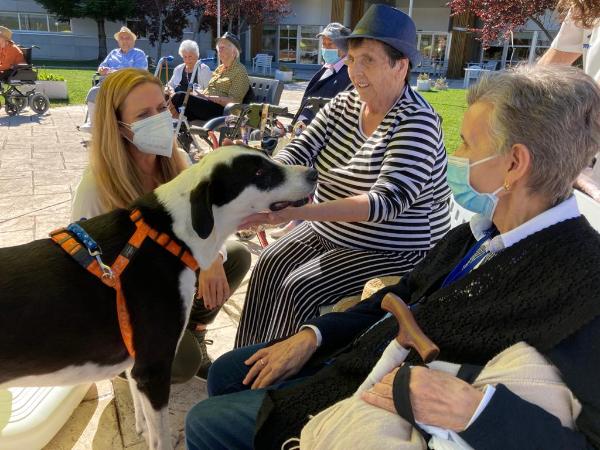 Residentes acariciando un perro