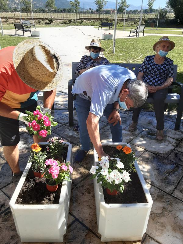 Residentes organizando las macetas de flores