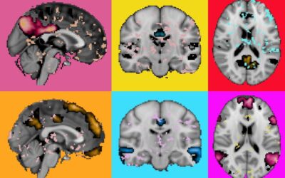 Ciencia que emociona: así fue la VIII edición del Concurso de Fotografía Científica del CEK