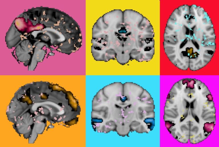 Ciencia que emociona: así fue la VIII edición del Concurso de Fotografía Científica del CEK