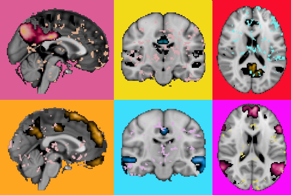 Ciencia que emociona: así fue la VIII edición del Concurso de Fotografía Científica del CEK