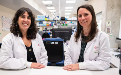Nanopartículas con ADN: el descubrimiento que puede cambiar la inmunoterapia contra el cáncer