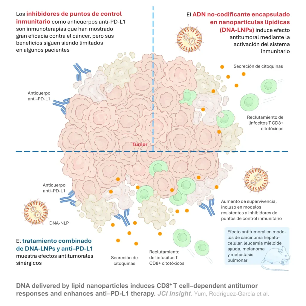 nanopartículas con ADN inmunoterapia cáncer