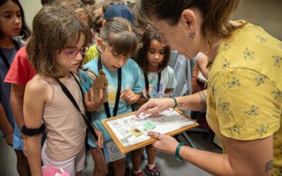 Ciencia, verano y superpoderes: el campamento del IDIBAPS vuelve al Centro Esther Koplowitz