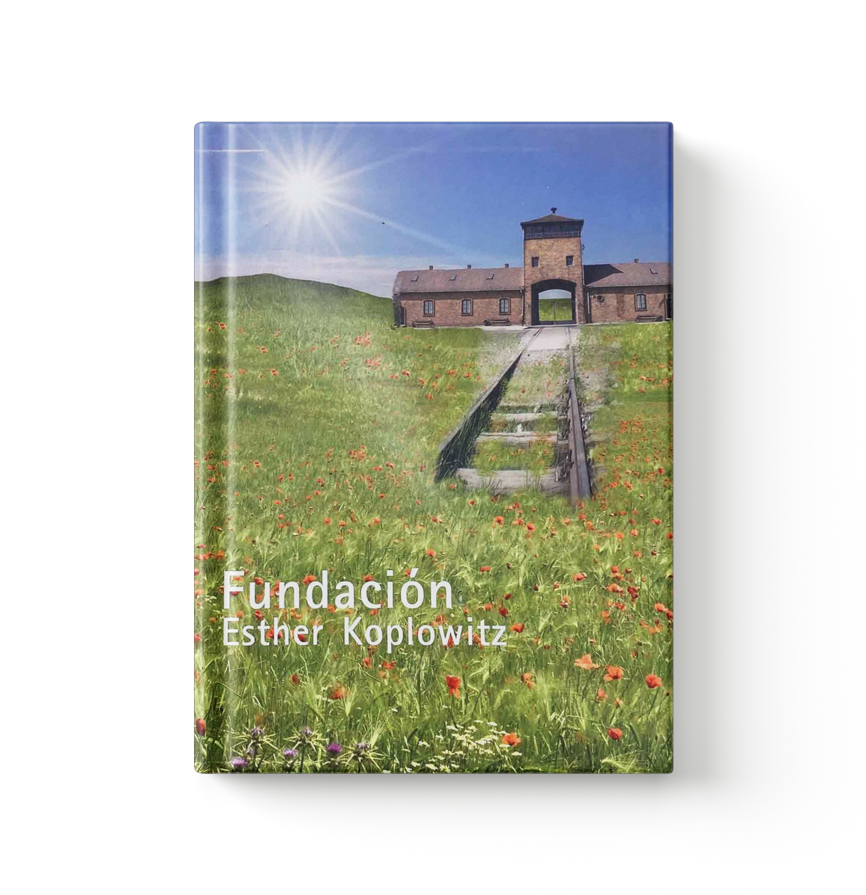 Portada del libro Fundación Esther Koplowitz